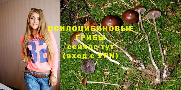 гашик Белоозёрский