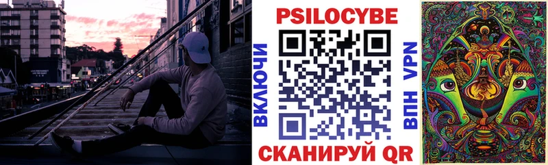 omg tor  продажа наркотиков  Шадринск  Галлюциногенные грибы Psilocybine cubensis 